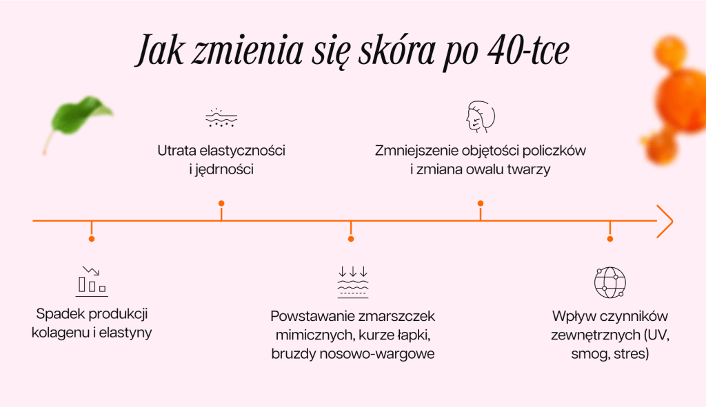 infografika przedstawiająca, jak zmienia się skóra po 40-stce